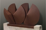 CC3